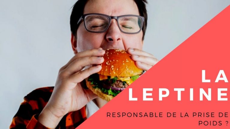 Hormones et prise de poids: La leptine en cause ?