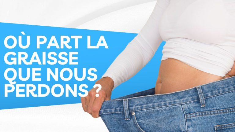 Où Part la graisse quand nous perdons du poids ?