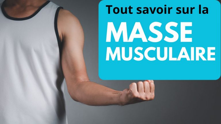 Tout savoir sur la Masse Musculaire